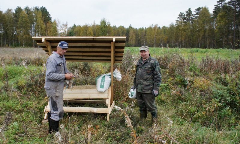 Tässä on hyvä paikka metsäkauriin tulla kauralle, hyvä näkyvyys antaa etumatkaa alati vaanivalta ilvekseltä